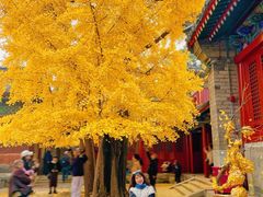 -承恩寺