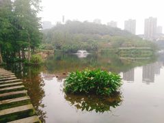 -重庆彩云湖湿地公园