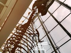 -吉林省自然博物馆