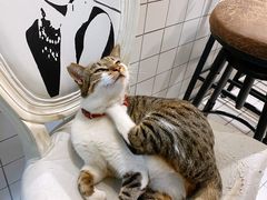 -ID.PHOTO照相馆(嘉里企业中心店)