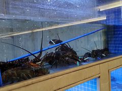 -皇朝尊会(龙之梦大酒店)