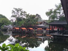 -侨美·唐荔园·40年地道粤菜