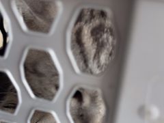 -瑞派福兴宠物医院犬猫全科·骨科·中西医结合(河东店)