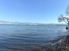 -洱海月湿地公园