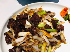 -鑫悦诚府·新鲁菜·餐厅(趵突泉店)