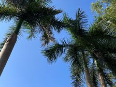 -火炉山森林公园
