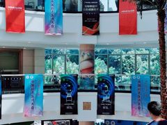 -圣爵菲斯大酒店(长沙世界之窗店)
