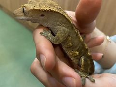 -藦茜花园宠物主题亲子互动体验馆(国顺东路店)