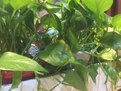 -多福饺·家常菜(谷德店)