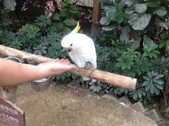 -南宫五洲植物乐园