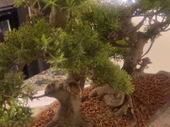 -大妙火锅·非物质文化遗产(东湖公园店)