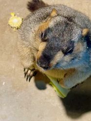 -酷嗒动物文化乐园(cutezoo西溪乐天城店)