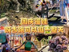 -呀路古热带植物园