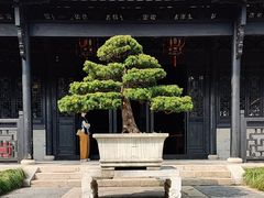 -绮园景区
