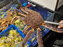 -高佳庄·舟山海鲜(海景旗舰店)