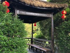 -上海醉白池公园