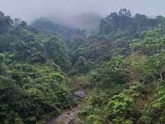 -广东天露山旅游度假区