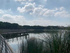 -美兰湖景区
