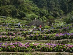 -鼓岭旅游度假区
