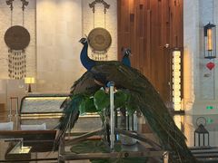 -西双版纳融创皇冠假日度假酒店