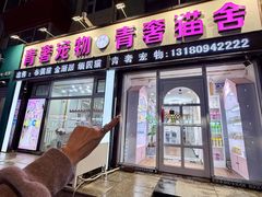 -青奢宠物·青奢猫舍