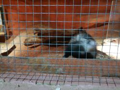 -酷嗒动物文化乐园(cutezoo西溪乐天城店)