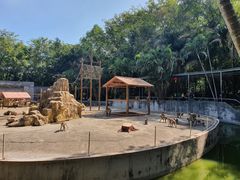 -广东茂名森林公园