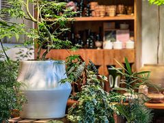 -自由生长植物工作室(深港花卉中心店)