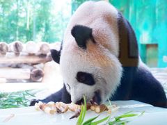 -杭州野生动物世界