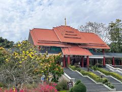 -大屏嶂森林公园