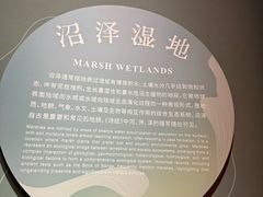 -中国湿地博物馆