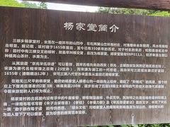 -杨家堂村