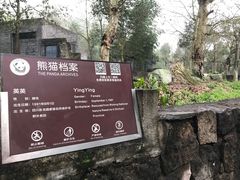 -都江堰中华大熊猫苑