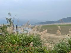 -杭州桐庐康莱德酒店西餐厅-舍