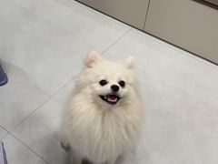 -竹犇番茄火锅(长风街店)