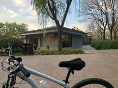 -唐城墙遗址公园