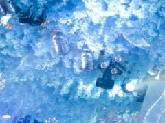 -玺尊龙·云岭四季(西南店)