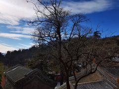 -潭柘寺景区