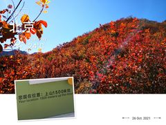 -周口店坡峰岭风景区