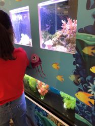 -上海市儿童医院(泸定路院区)