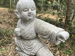 -东明山森林公园