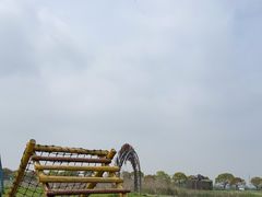 -上海都市菜园