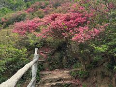 -木兰云雾山