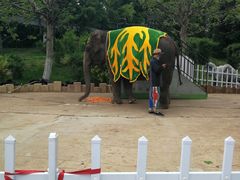 -大连森林动物园