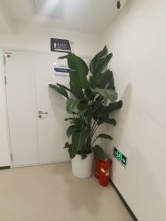 -丰联丽格医疗美容·联合丽格眼整形中心