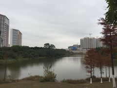 -聚龙山公园