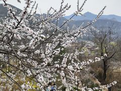 -幽岚山·童话森林