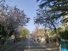 -八大关景区
