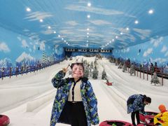 -世界之窗阿尔卑斯冰雪世界