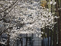 -星湖街(地铁站)